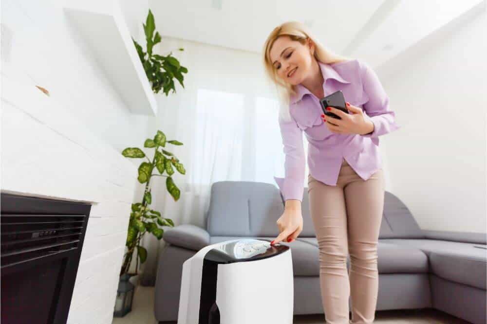 Air Purifier vs. Humidifier