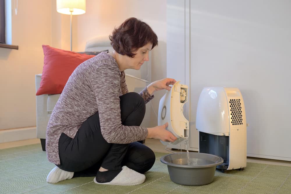 air purifier vs dehumidifier