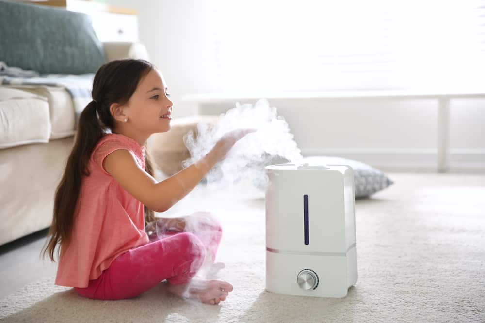 air purifier vs humidifier