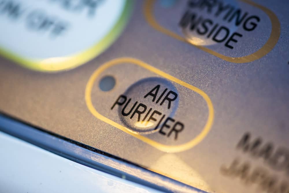 best air purifier for mold