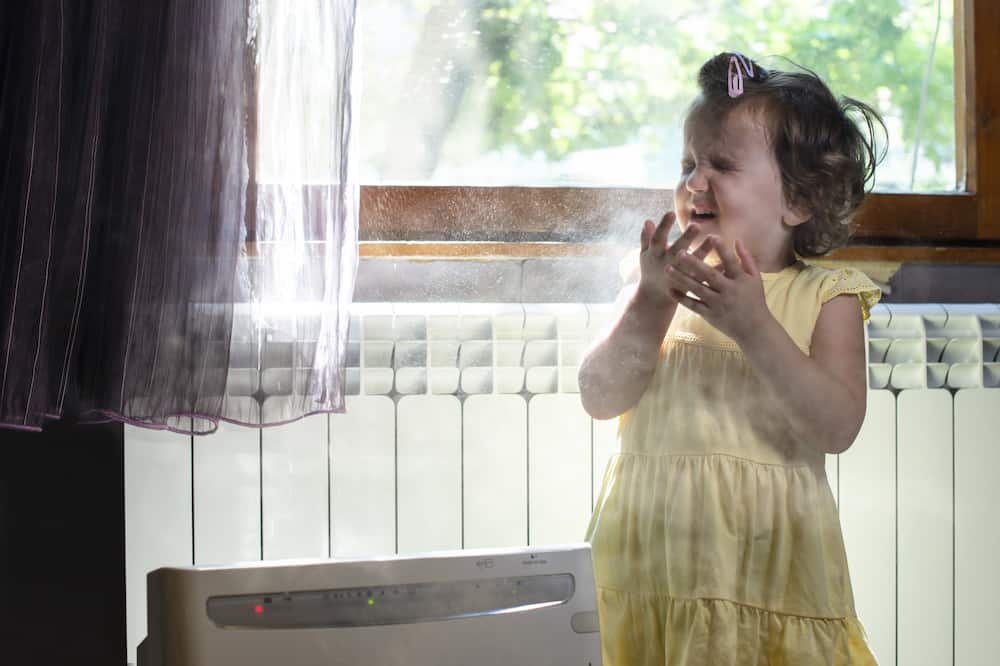do if does air purifier reduce dust