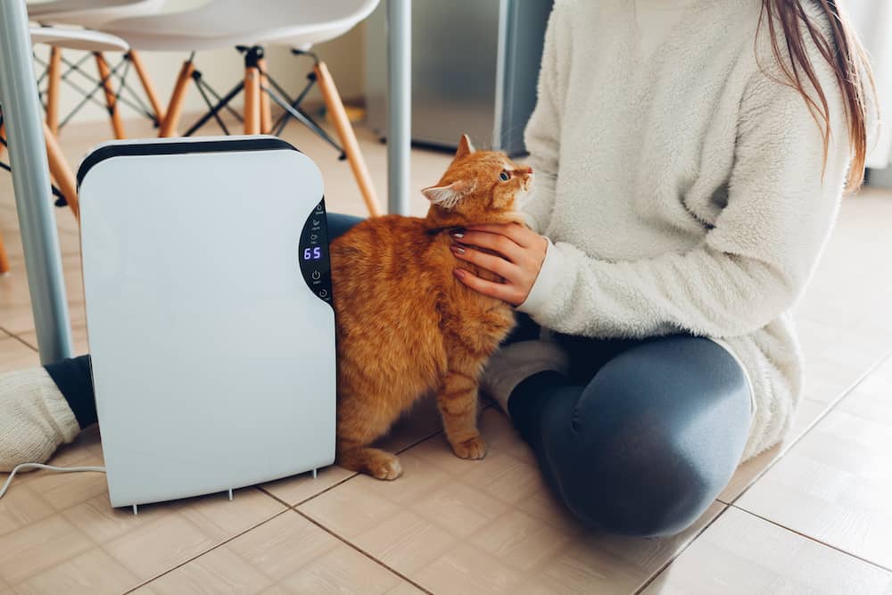 samsung cube air purifier review