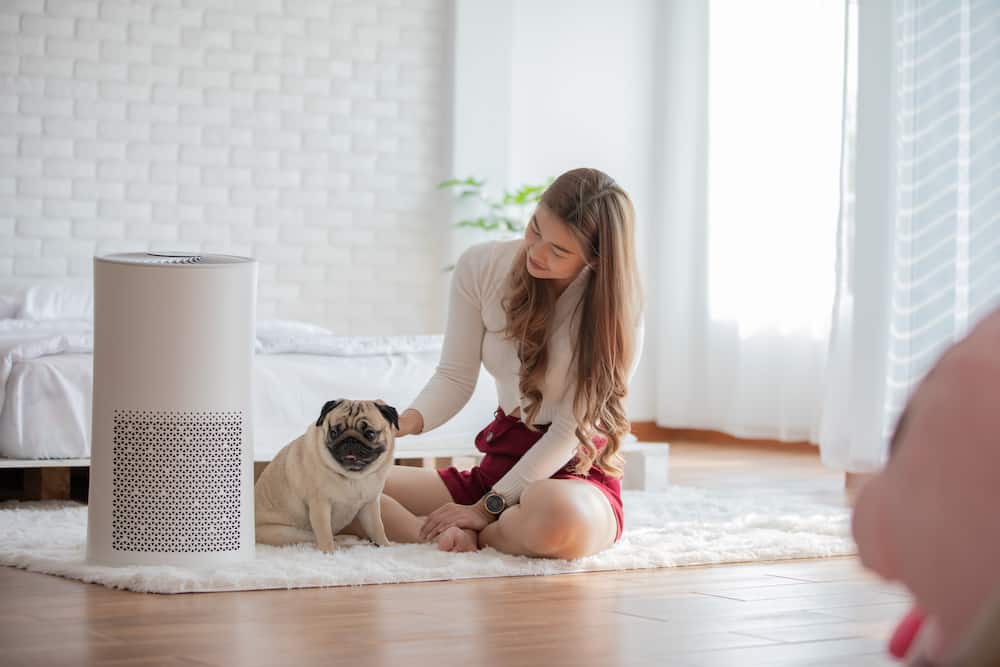 tips on where to place air purifier