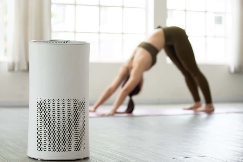 trusens air purifier review`