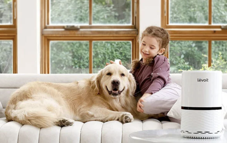 best air purifier for pets