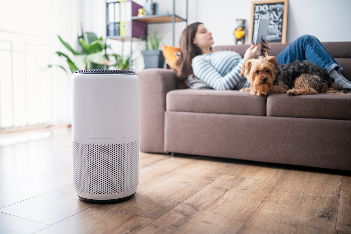 how to choose the best air purifier for home